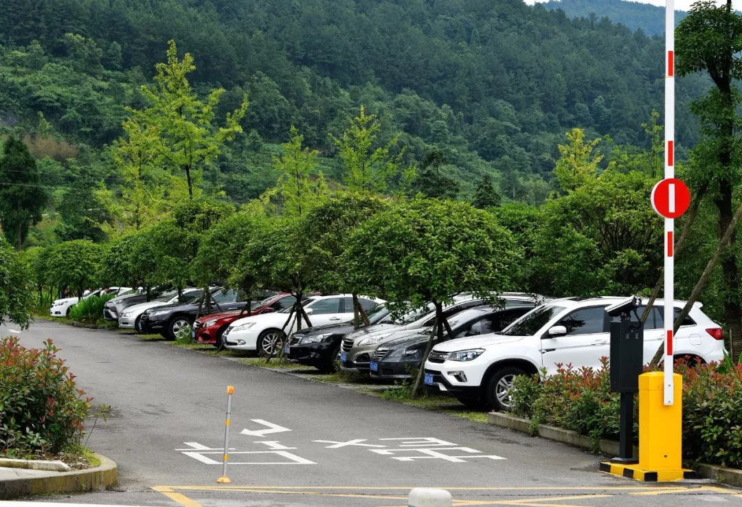 大裂谷的前世今生 珍貴歷史照片與專用車的傳奇交匯